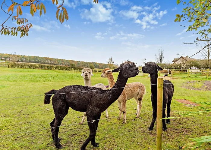 2 Bed In Maryport Oc-95716 Nyaraló Broughton Moor